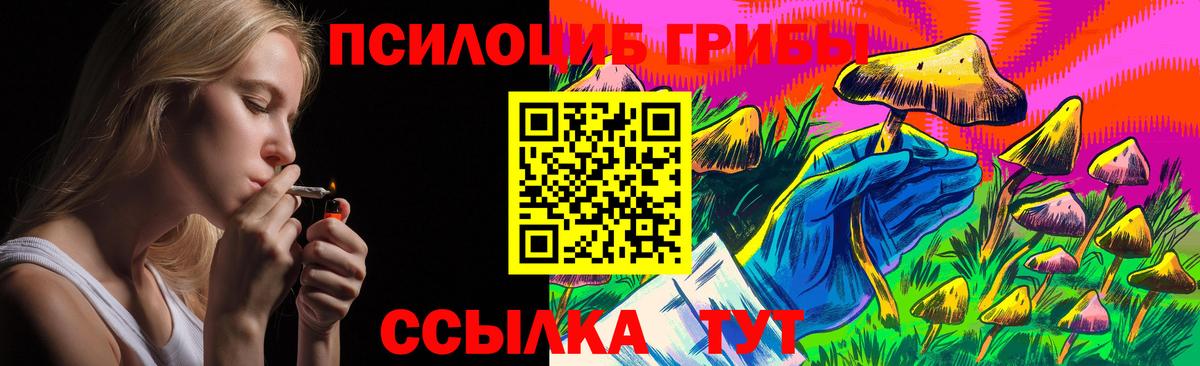 Псилоцибиновые грибы GOLDEN TEACHER Михайловка