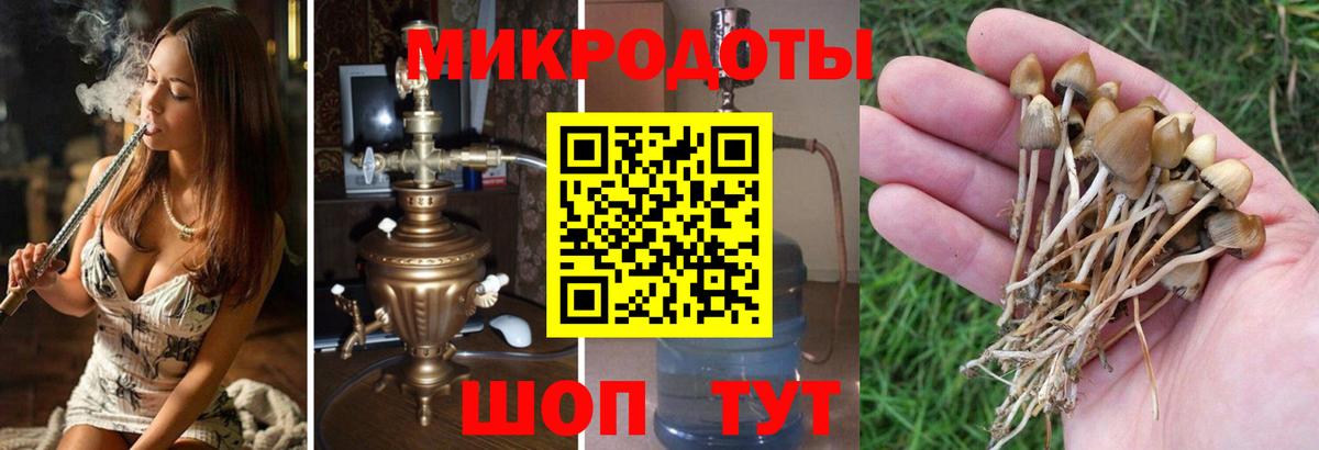 Михайловка  Псилоцибиновые грибы мухоморы  Галлюциногенные грибы Cubensis  магазин    Вход с VPN 